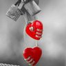 مراسل الاحبه's profile picture