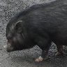 David Rivers's profile picture