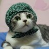Profilbild von こじこじ