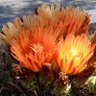 Фото профиля RockyColo