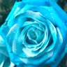 おおひらでth。 profil fotoğrafı