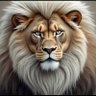dj dixon's profile picture