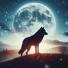 Profilbild von Night Wolf 🇮🇳