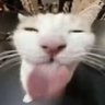 xin profil fotoğrafı