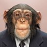 Profilbild von it is really tweet