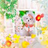 𝗸𝗮ӫ𝗿𝗶𝗻𝗻♡'s profile picture