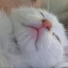 Семён Семёныч's profile picture