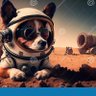 Фото профиля spacedogcharlie