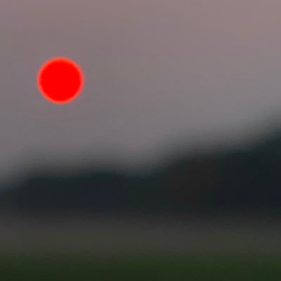 northeast_bro's profile picture