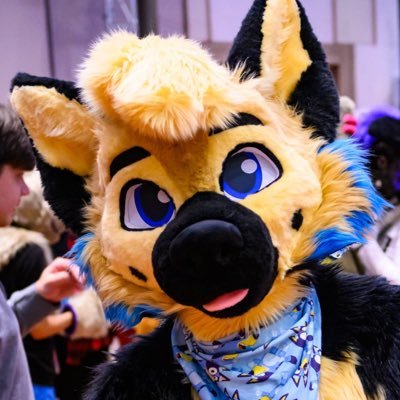 ranger 🐶's profile picture