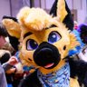 ranger ๐ FurDU, MFF's profile picture