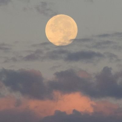 hatemhail's profile picture