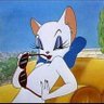 سفیدگربه's profile picture