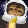 Antonio Cassano Escobar's profile picture