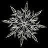Profilbild von 雪谷 霞
