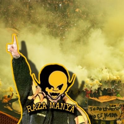 Raza Manya's profile picture