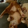 Фото профиля Leif Von Eric Kat