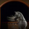 Фото профиля Emee Abraham