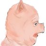 Reece Reed's profile picture