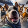 Doffable profil fotoğrafı
