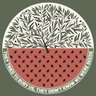 Profilbild von The Seeds