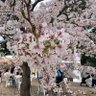 愚痴 profil fotoğrafı