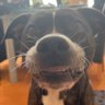 Bazz๐ profil fotoฤrafฤฑ