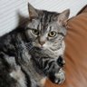 Фото профиля 猫松