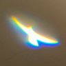 Hemanth Kumar R 🕊️ profil fotoğrafı