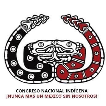 CNI México's profile picture