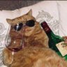 Rohu's profile picture