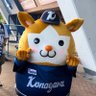 Profilbild von ちーこ☆★