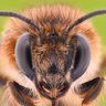 10 million bees profil fotoğrafı