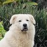 Profilbild von Blim Blim