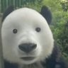 Profilbild von kier