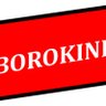 BOROKINI DESIGN's profile picture