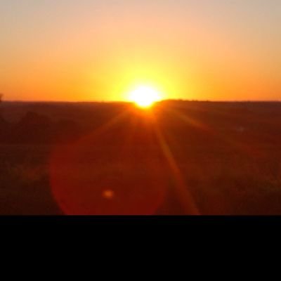 Rafael's profile picture
