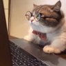 whateveryouwant / profil fotoğrafı