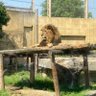 王我 profil fotoğrafı