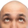 Profilbild von Prof K. Nutz