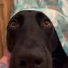 Patrick's profile picture