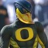 The Duck Knight profil fotoğrafı