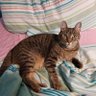 Dimitra A. profil fotoğrafı