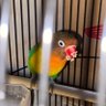 icy profil fotoğrafı