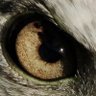 Prita 🦅🇺🇸 profil fotoğrafı