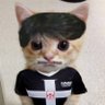 ADOTE UM GATINHO ☄️ profil fotoğrafı