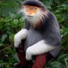 jack👤🌫 profil fotoğrafı