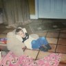 Фото профиля Colin Robbins