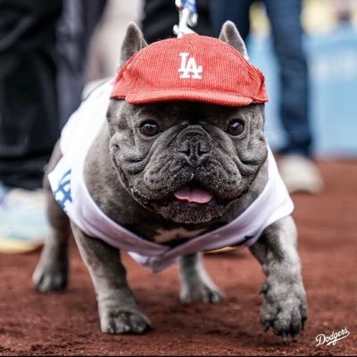 kikeamayadori's profile picture