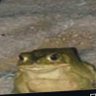 predo profil fotoğrafı
